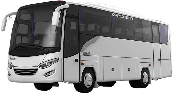 Medium Bus